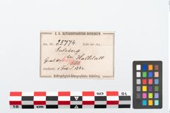 Etikett zu Bronzebrillenfibel (NHMW-PRAE-025774)